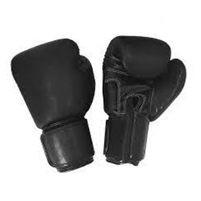 MMA Gloves