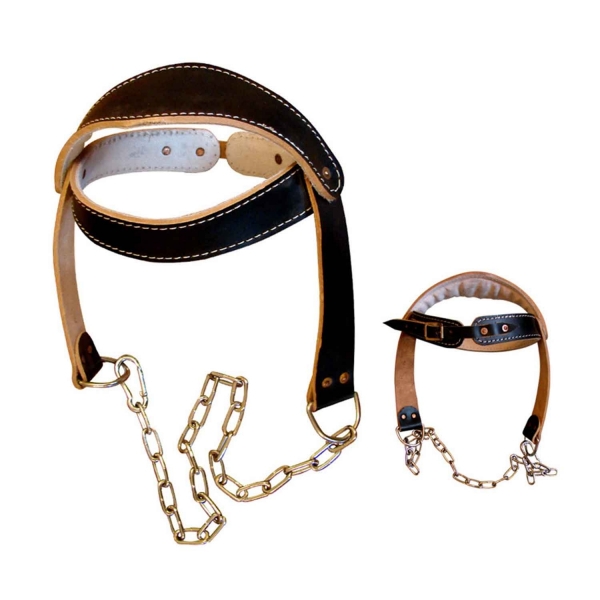 Leather Head Harness