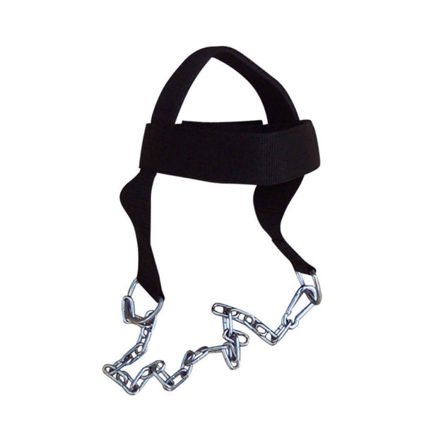 Head Harness
